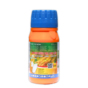 BIO SIÊU LEM LÉP | Sạch bệnh - Sáng - Chắc hạt | Bio Việt Nam