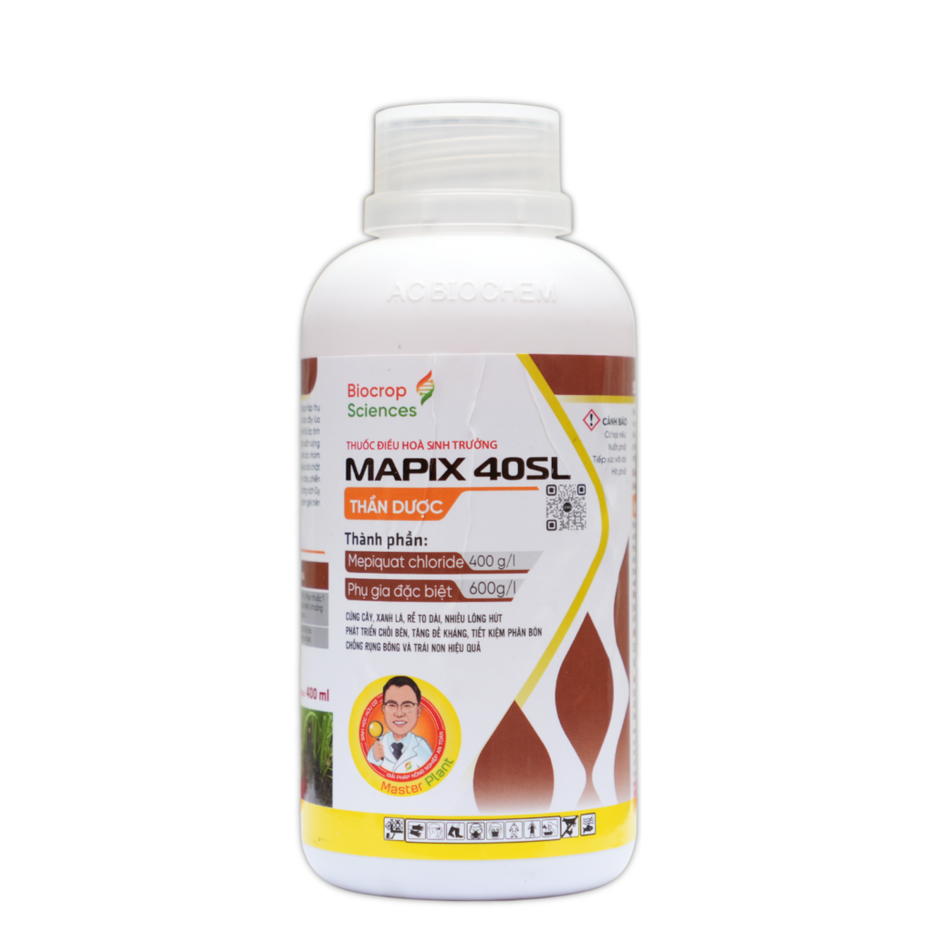 MAPIX 40SL | Cứng cây – Xanh lá – Rễ to dài | Biocrop Sciences