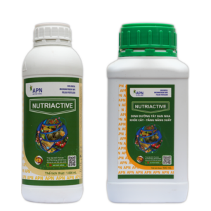 NUTRIACTIVE | Dinh dưỡng khỏe cây - Tăng năng suất | An Phát Nông