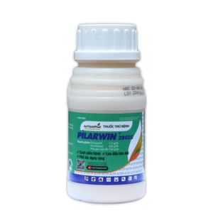 PILARWIN | Sạch nấm bệnh - Lưu dẫn kéo dài | An Thịnh Phát