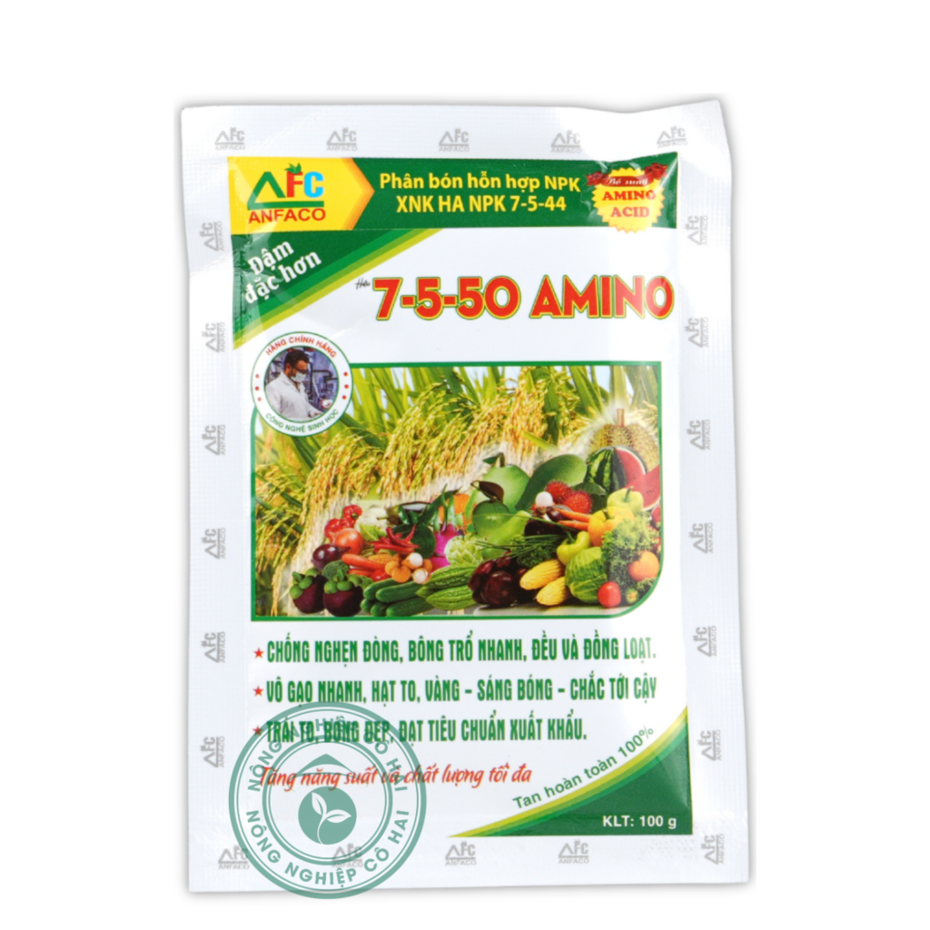 7-5-50 AMINO | Chống nghẹn đòng – Vô gạo nhanh – Trái to | Hoàng Ân