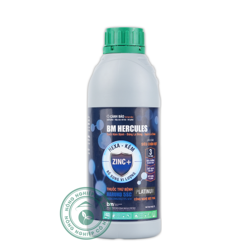 BM HERCULES | Sạch nấm bệnh – Đứng lá đòng – Sạch lá chân | Benh Mayer