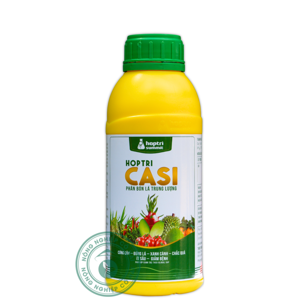 CASI | Cứng cây – Đứng lá – Ít sâu – Giảm bệnh | Hợp Trí