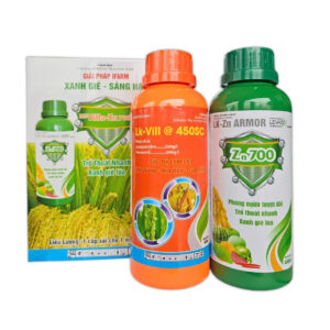 GIẢI PHÁP XANH GIÉ - SÁNG HẠT | IFARM
