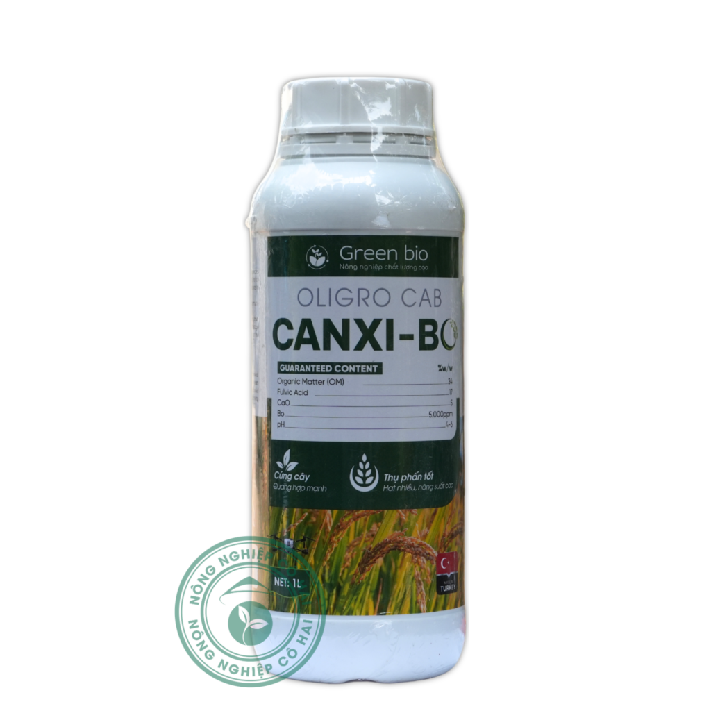 CANXI BO | Cứng cây – Thụ phấn tốt – Hạt nhiều | Green Bio