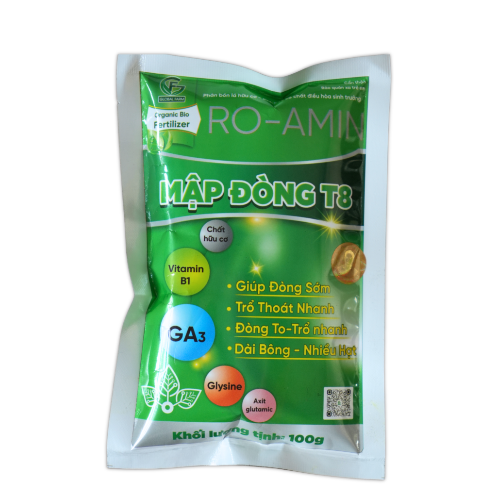 MẬP ĐÒNG T8 | Đòng to -Trổ nhanh – Dài bông – Nhiều hạt | Global Farm