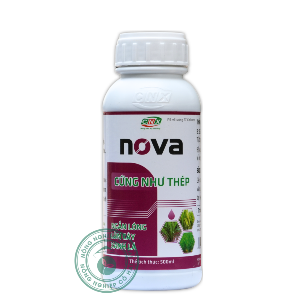 NOVA | Cứng như thép – Ngắn lóng – Lớn cây – Xanh lá | Công nghệ xanh