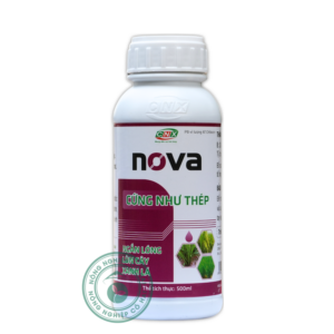 NOVA | Cứng như thép - Ngắn lóng - Lớn cây - Xanh lá | Công nghệ xanh