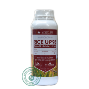 RICE UP 98 | Bung bụi khỏe – Rễ mạnh – Hạt chắc sáng | Green Bio