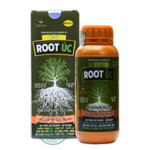 ROOT ÚC | Hạn chế chết cây non - Siêu ra rễ cực mạnh | Tấn Hưng