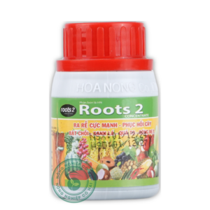 ROOTS 2 | Ra rễ cực mạnh - Phục hồi cây | Âu Mỹ