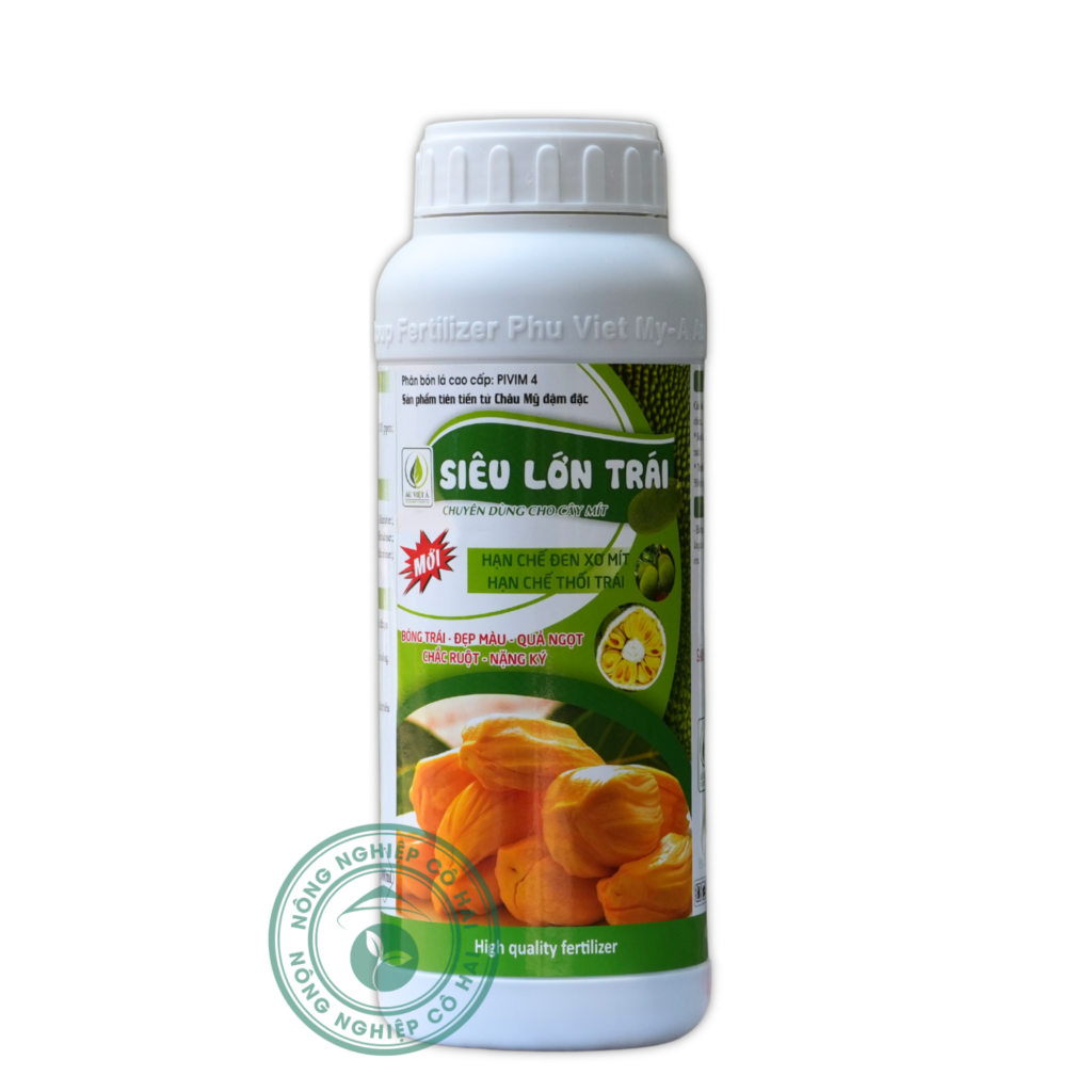 SIÊU lỚN TRÁI  | Bống trái – Đẹp màu – Quả ngọt – Chắc ruột – Nặng ký | Âu Việt Á