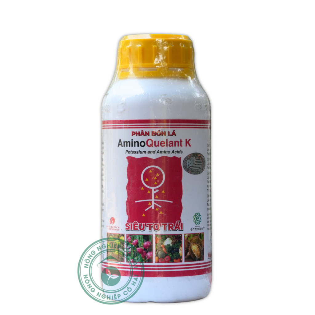 AMINO QUELANT K | Siêu to trái | GrowMore