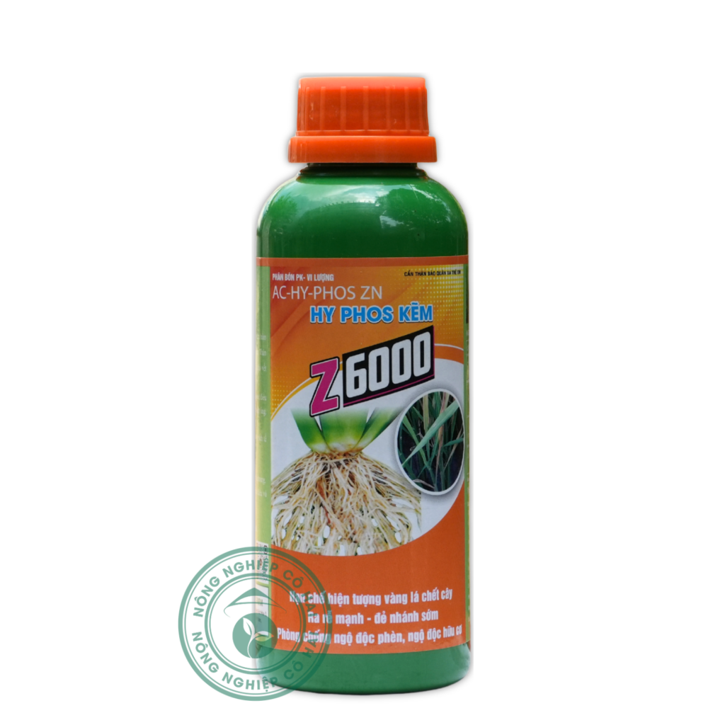 Z6000 | Hạn chế vàng lá – Ra rễ mạnh – Đẻ nhánh sớm | Global Farm