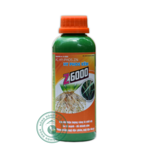 Z6000 | Hạn chế vàng lá - Ra rễ mạnh - Đẻ nhánh sớm | Global Farm