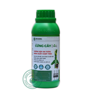 CỨNG CÂY 304 | Chống sập an toàn - Năng suất vượt trội | IDA Global