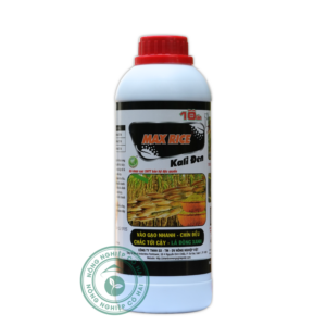 KALI ĐEN | Vào gạo nhanh - Chín đều - Chắc tới cậy | Nông nghiệp Việt