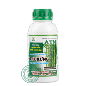 TRE RỪNG | Mập tim đèn - Đứng lá - To đòng | Nam Sài Gòn
